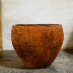 TULIPAN