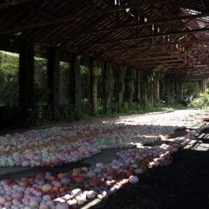 OBRA JORGE JULIÁN 4