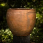 MARACUBA